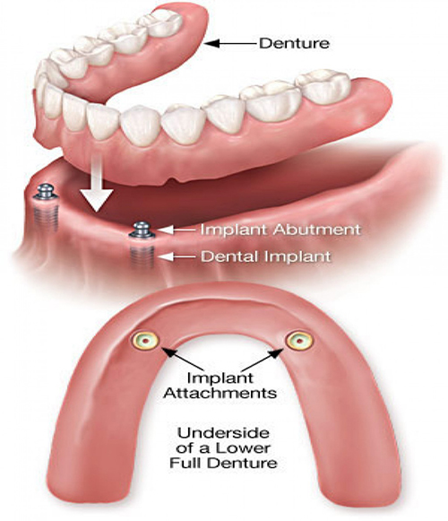 Dynamic Dental Wellness