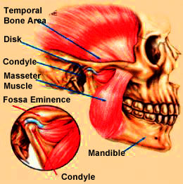 TMJ Therapy in Ashburn, VA | Dynamic Dental Wellness